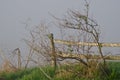 Wooden Rail Fence on a Foggy Spring Morning Royalty Free Stock Photo