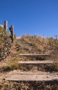 Wooden railing on pathway