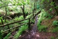 Wooden railings and board walk Royalty Free Stock Photo