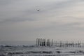 Wooden railings in the sea and a bird sitting on them, a seagull, sea waves, a rough sea with waves Royalty Free Stock Photo