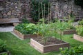 Wooden raised beds in the garden