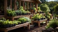 Wooden raised beds in modern garden growing plants herbs spices vegetables and flowers near a wooden house in the countryside