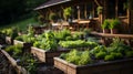 Wooden raised beds in modern garden growing plants herbs spices vegetables and flowers near a wooden house in the countryside