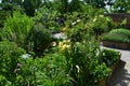 Wooden raised beds perennials vegetable garden in Schlosshof Austria professionally planted with groups of perennials