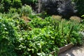 Wooden raised beds vegetable garden in Schlosshof Austria professionally planted with groups of perennials