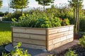 a wooden raised garden bed in a garden