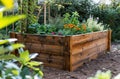a wooden raised garden bed in a garden