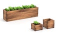 Wooden Raised Garden Beds. 3D Rendering