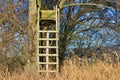 Wooden raised tree ladder stand secured to a tree as vantage point for hunters