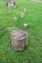 Wooden raised tree stumps used as stepping stones