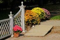 Wooden ramp, pink hydrangea and colorful chrysanthemums in the pots