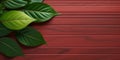 Wooden red modern board and green leaf copy space background Royalty Free Stock Photo
