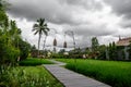 Wooden road in asian country. Palm trees and grass around Royalty Free Stock Photo