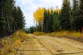 A wooden road made out of rig mats through muskeg