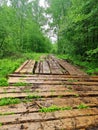 Wooden road in the outback of russia