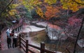 Wooden road and pond in golden autumn Royalty Free Stock Photo