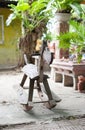 Wooden rocking horse chair children Royalty Free Stock Photo