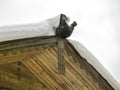 Wooden roof of an old house with carved patterns and horses on the roof