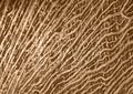 Wooden roots pattern brown coloured background