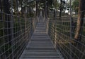 Wooden rope bridge