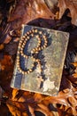 Wooden rosary beads and holy bible book lying on autumn leaves. Top view Royalty Free Stock Photo