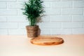 Wooden round board, pedestal, on white table with indoor palm tree with free space for inscription Royalty Free Stock Photo