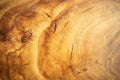 Wooden round cut from oak, cutting board, cross-section of a cut wooden piece of wood with cracks and rings. Wood background Royalty Free Stock Photo