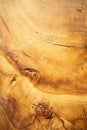 Wooden round cut from oak, cutting board, cross-section of a cut wooden piece of wood with cracks and rings. Wood background Royalty Free Stock Photo