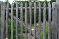 Wooden round rail garden fence Royalty Free Stock Photo