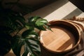 Wooden round side table with green tropical plant leaf and beautiful sun light