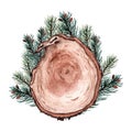 Wooden round slice for inscriptions on it with fir-tree branches