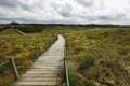 Wooden route on the north of Portugal Royalty Free Stock Photo