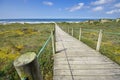 Wooden route on the north of Portugal Royalty Free Stock Photo