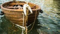 Wooden rowboat in harbour Royalty Free Stock Photo