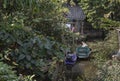 Wooden rowboat and Small motor boat moored behind house on canal amongst trees and water. Space for text, Selective focus Royalty Free Stock Photo