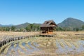 Wooden Rural huts in Chiang Mai with rice field and mountain landscape.