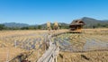 Wooden Rural huts in Chiang Mai with rice field and mountain landscape.