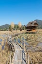 Wooden Rural huts in Chiang Mai with rice field and mountain landscape.