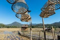 Wooden Rural huts in Chiang Mai with rice field and mountain landscape.