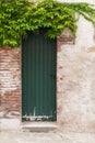 Wooden rustic door Royalty Free Stock Photo