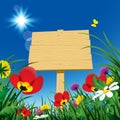 Wooden rustic signboard with green grass and wild flowers against the blue sky