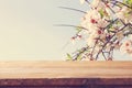 wooden rustic table in front of spring cherry blossoms tree. product display and picnic concept. Royalty Free Stock Photo