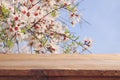 wooden rustic table in front of spring cherry blossoms tree. product display and picnic concept. Royalty Free Stock Photo