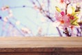 wooden rustic table in front of spring cherry blossoms tree. product display and picnic concept. Royalty Free Stock Photo