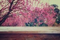 Wooden rustic table in front of Spring Cherry blossoms tree. retro filtered image. product display and picnic concept