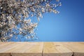 wooden rustic table in front of spring cherry blossoms tree. vintage filtered image. product display and picnic concept.