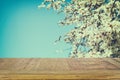 wooden rustic table in front of spring cherry blossoms tree. vintage filtered image. product display and picnic concept.