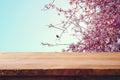 wooden rustic table in front of spring cherry blossoms tree. vintage filtered image. product display and picnic concept.