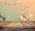 Wooden rustic table in front of spring white cherry blossoms tree. vintage filtered image. product display and picnic concept Royalty Free Stock Photo