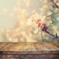 Wooden rustic table in front of spring white cherry blossoms tree. vintage filtered image. product display and picnic concept